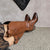 Bota 832